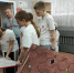 «Воспитание культуры здоровья как фактор формирования здоровьесберегающей среды» - Комитет образования