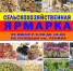 Ярмарка выходного дня в г. Рославль - Администрация Рославльского района