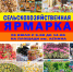 Ярмарка выходного дня в г. Рославль - Администрация Рославльского района