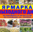 20 сентября - ярмарка выходного дня - Администрация Рославльского района