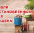Торговля в неустановленных местах: административная ответственность в Рославльском округе - Администрация Рославльского района